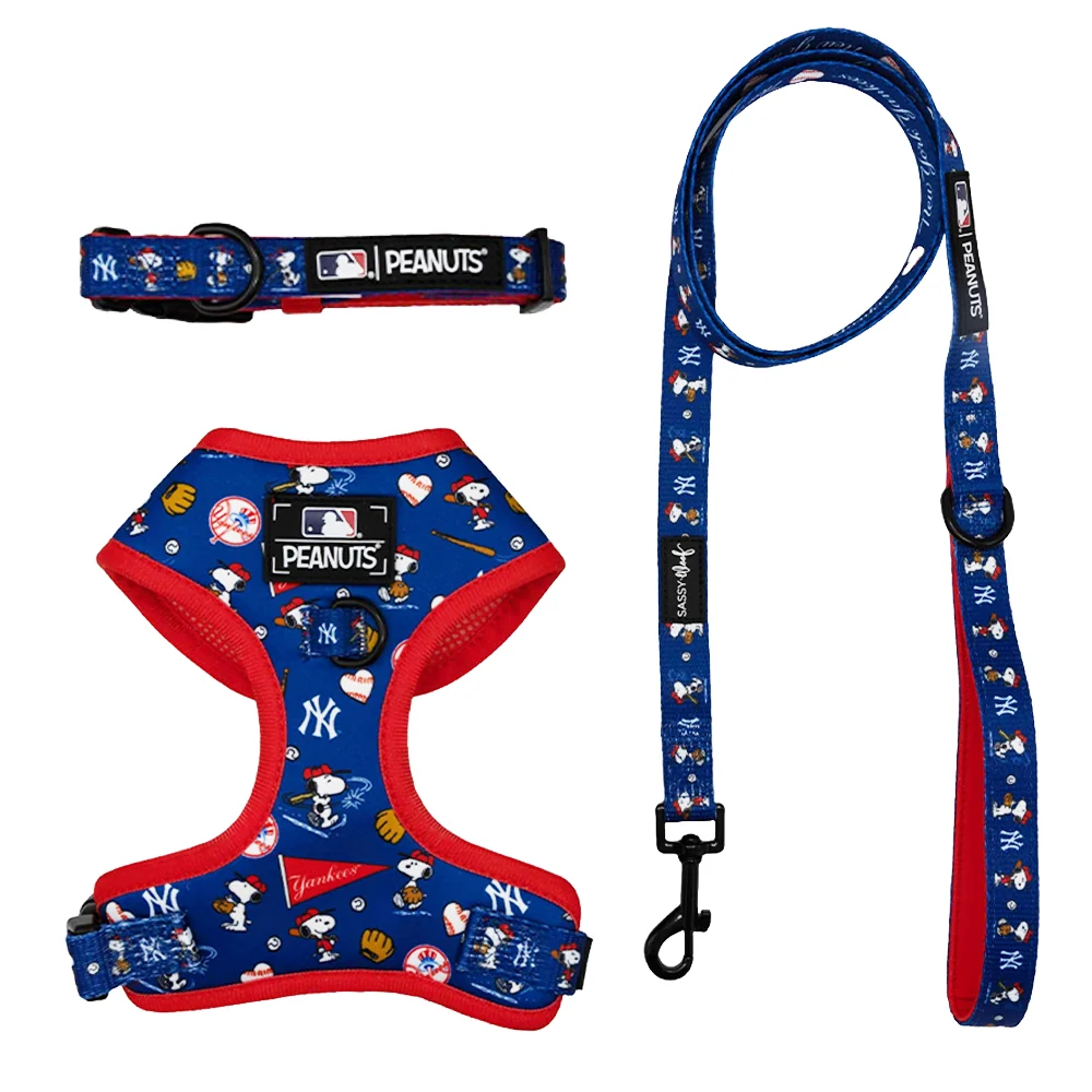 MLB™ x Peanuts™ New York Yankees